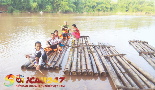 Mơ thấy bè gỗ 